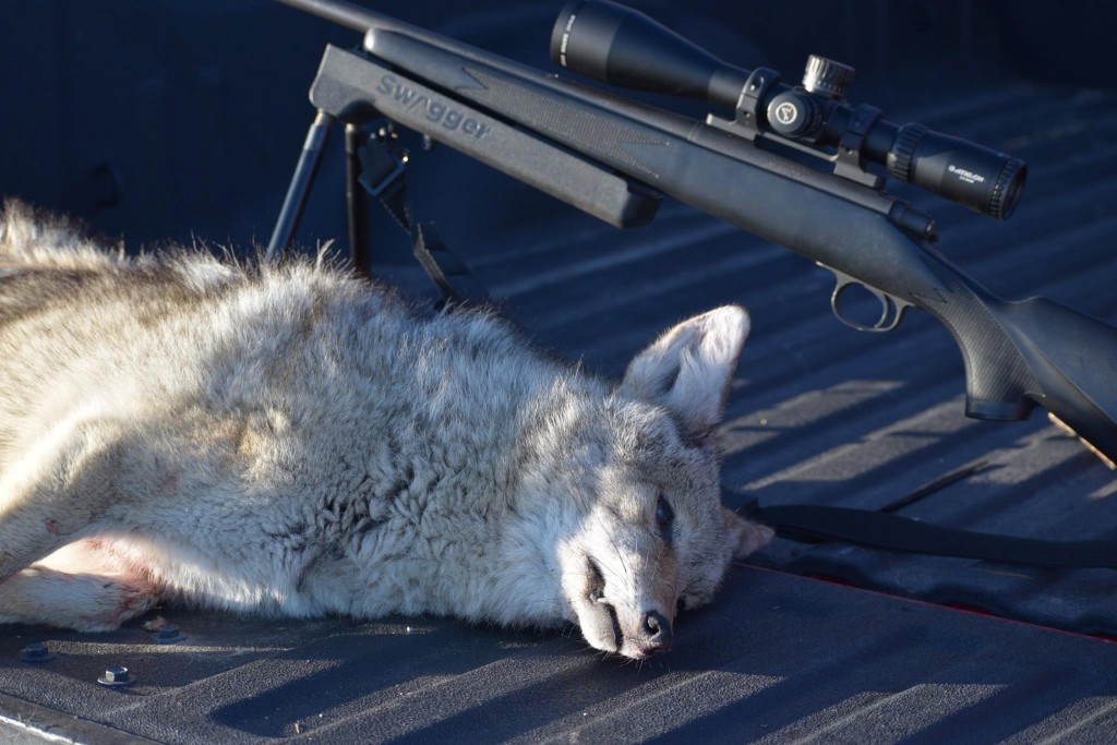 JustinWelch_Ares_Rifle_Scope_Coyote_Feb2017